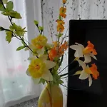 Violeta Bled