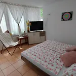 Violeta