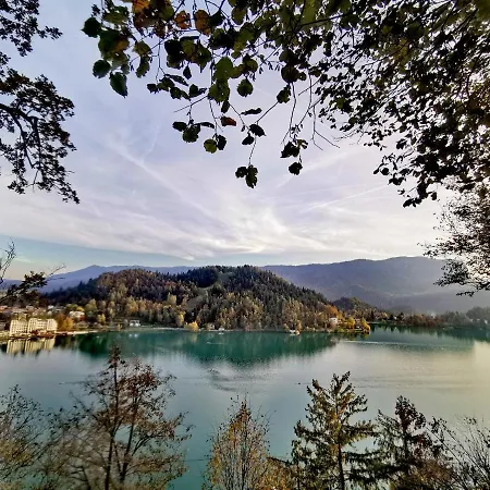 Violeta * Bled