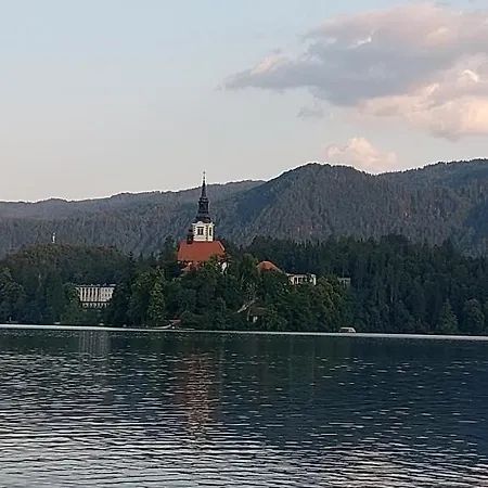 Appartement Violeta *