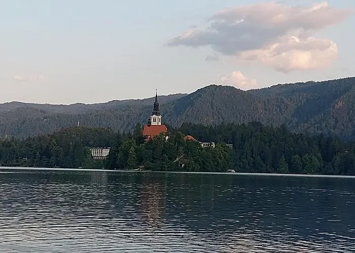 Apartament Violeta *